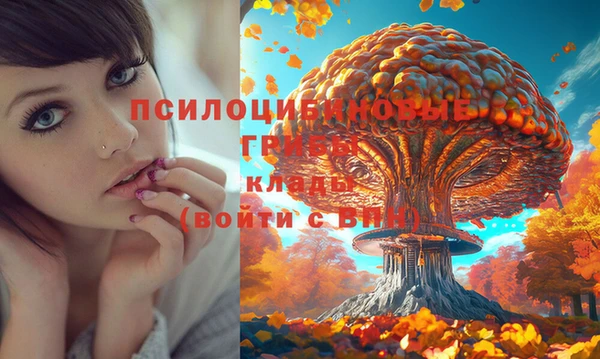 прущий лед Богородицк