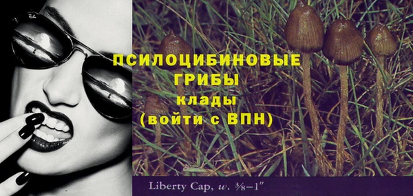 прущий лед Богородицк