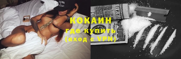 гашиш Богданович