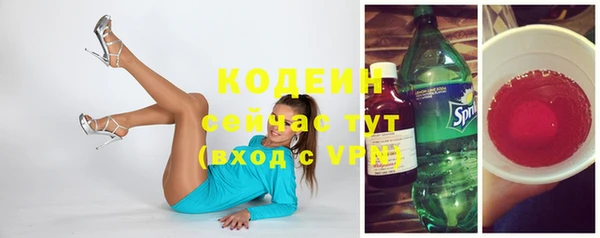 гашиш Богданович