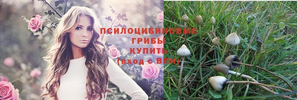 гашиш Богданович