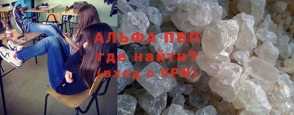 гашиш Богданович