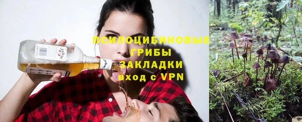 гашиш Богданович