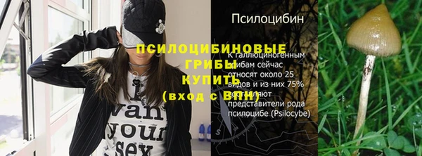 прущий лед Богородицк